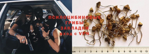 дживик Струнино