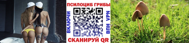 Галлюциногенные грибы Magic Shrooms  Циолковский 